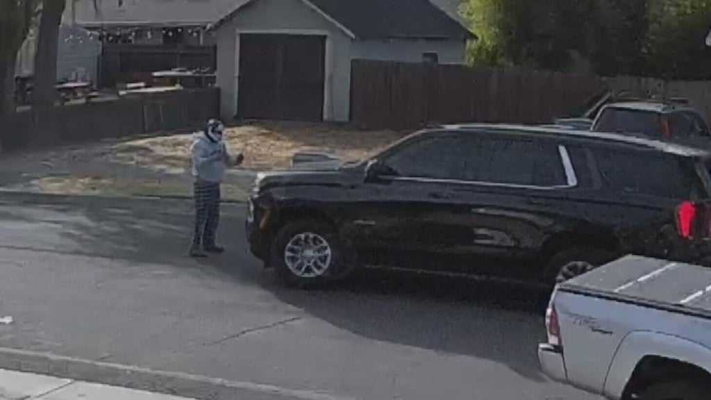 Woodland police dispute DHS account of ICE agent's collision with pedestrian — CBS Bay Area (KPIX), Los Gatos Health news