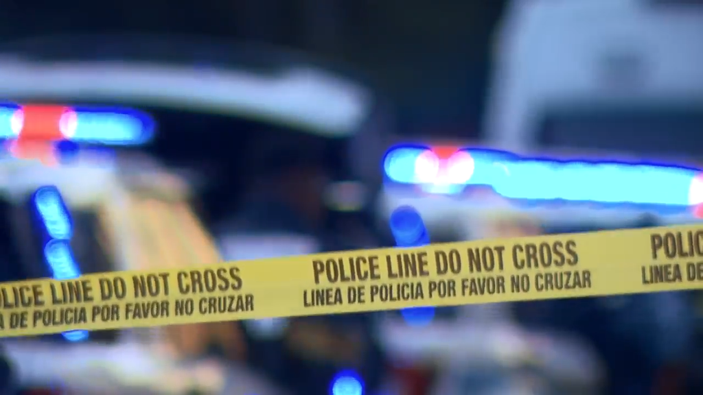 Man accused of stabbing, killing his own mother in Tamarac, BSO says — CBS Miami, Los Gatos Health news