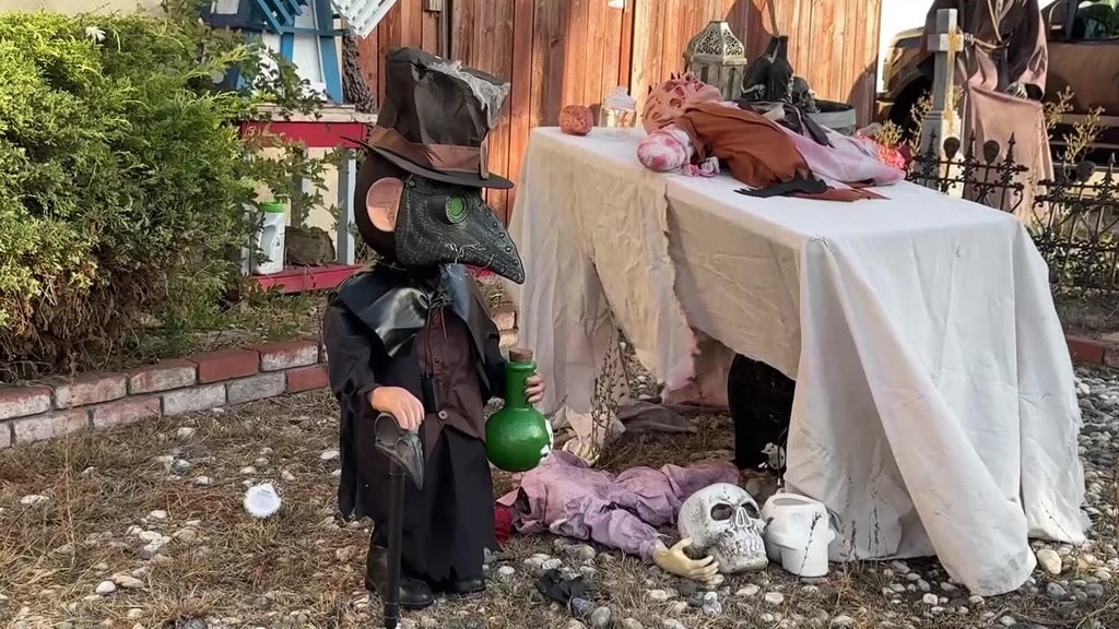 Halloween decorations worth roughly $700 stolen from San Leandro home — CBS Bay Area (KPIX), Los Gatos Schools news
