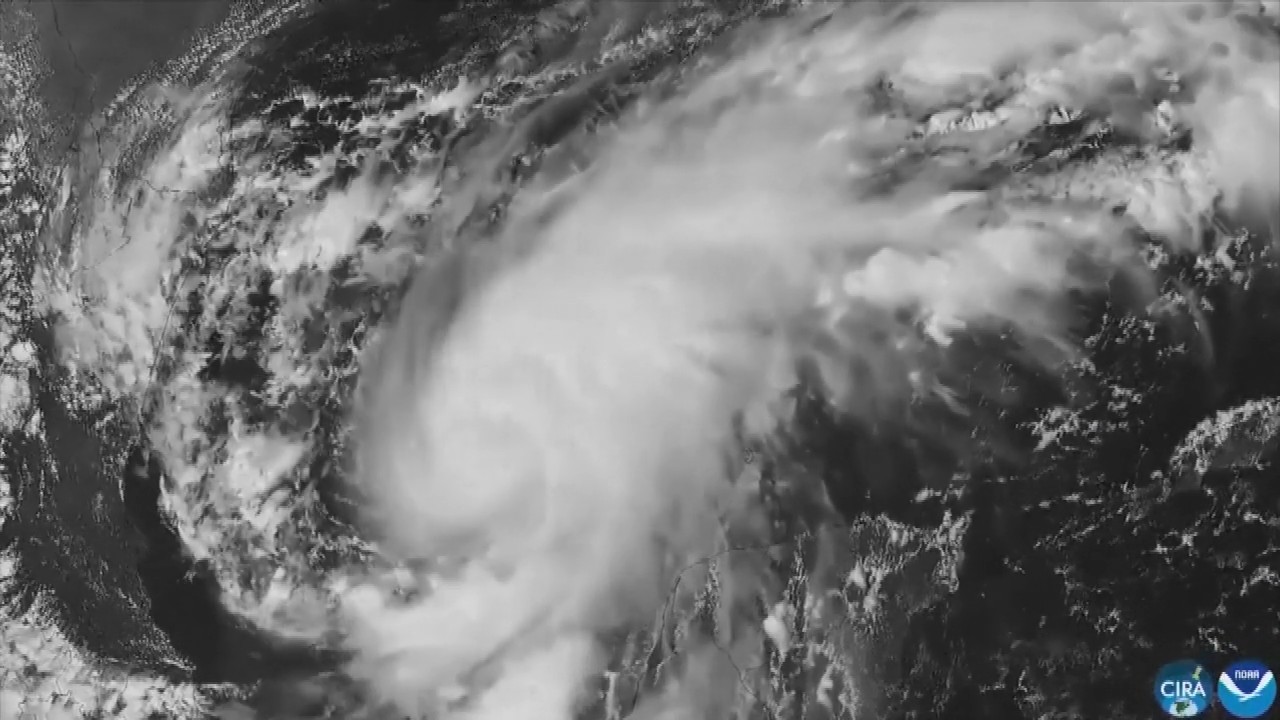 Hurricane Isaias: Residents board up windows and National Guard troops deploy as storm nears US Gulf Coast
— ABC 7 Bay Area, Los Gatos Sports news