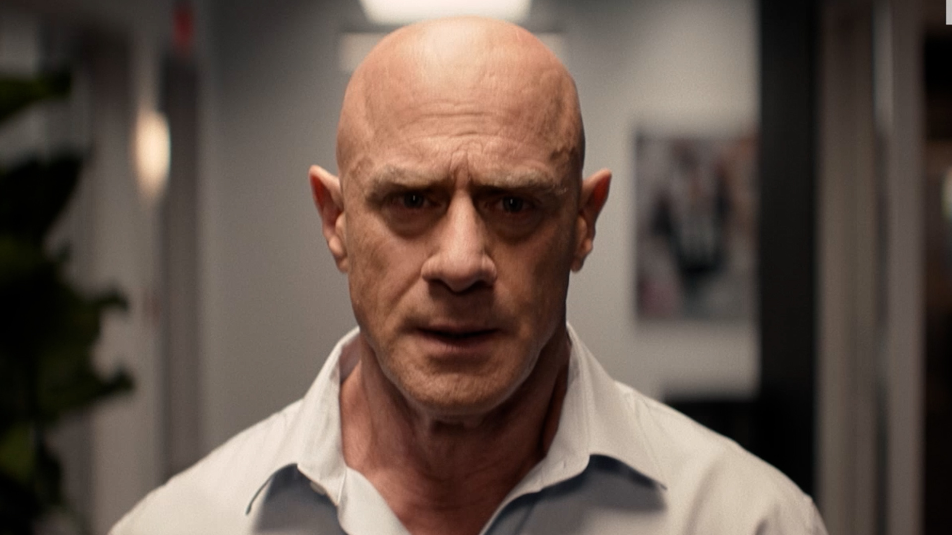 Christopher Meloni, William H. Macy talk football, family in 'The Land' trailer
       — ABC 7 Bay Area, Los Gatos Sports news