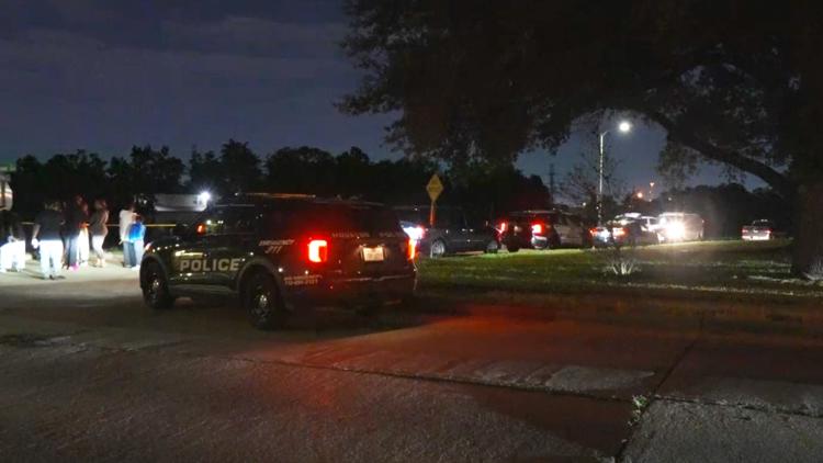 HPD: Man dies after going for swim in Sims Bayou in southeast Houston — KHOU 11 (Houston), Los Gatos Sports news