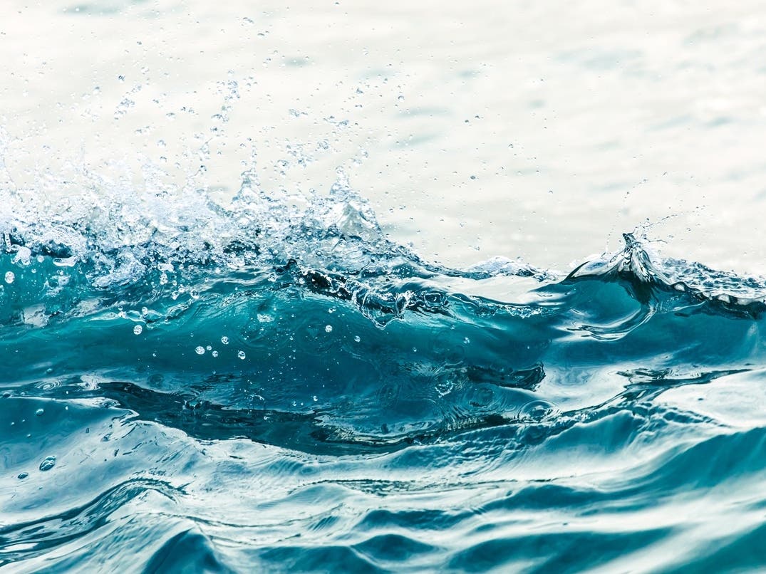 Deadly Hostage Standoff Details | Kelvin Wave Brings Record Sea Levels: Patch PM — San Francisco Patch, Los Gatos Community news
