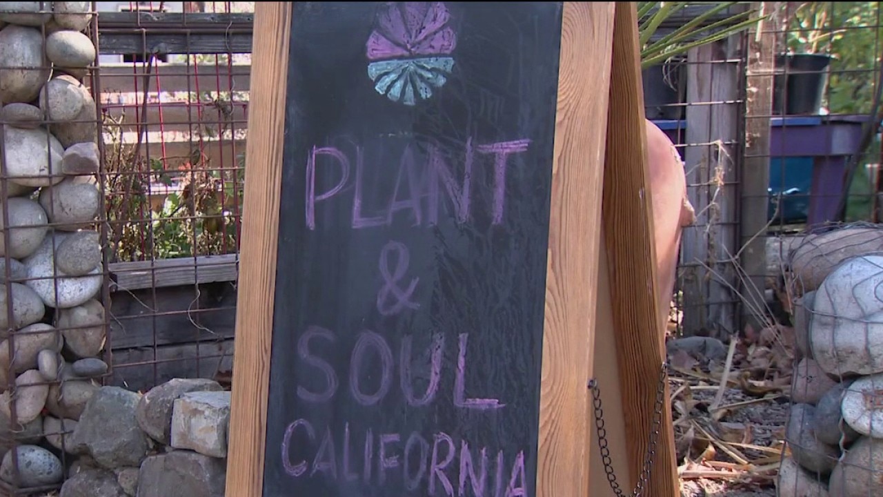 San Jose community garden faces possible eviction — KTVU FOX 2 Bay Area, Los Gatos Schools news