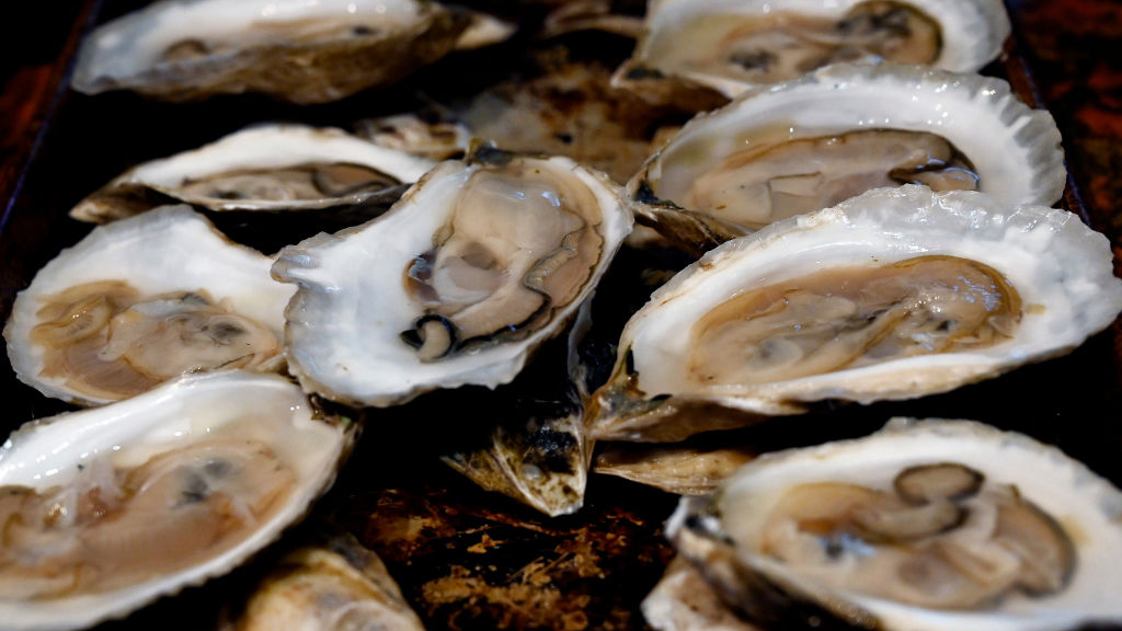 Sewage leak temporarily halts Tomales Bay oyster harvest — KTVU FOX 2 Bay Area, Los Gatos Business news