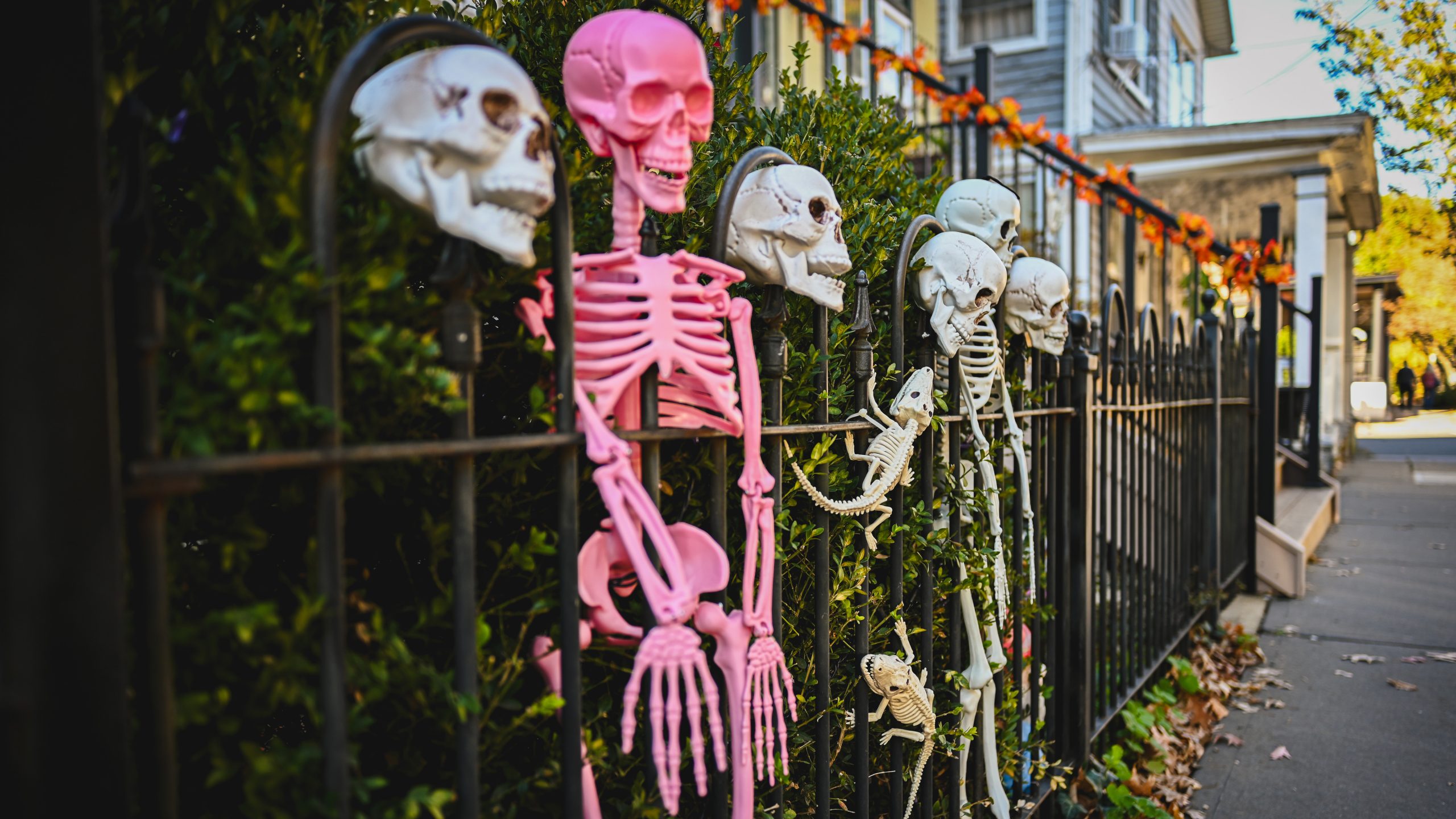 America's best cities for Halloween, ranked — KTVU FOX 2 Bay Area, Los Gatos Community news