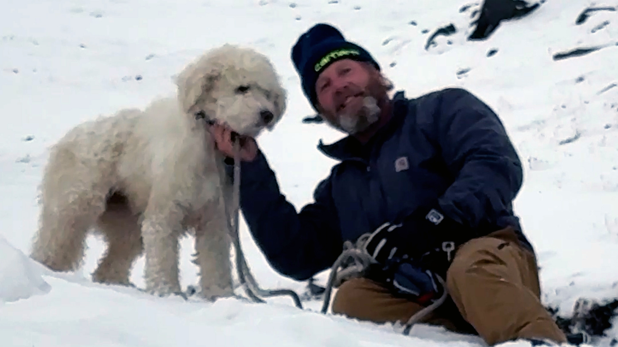Watch: Dog lost in Alaska avalanche miraculously found 2 days later — KTVU FOX 2 Bay Area, Los Gatos Community news