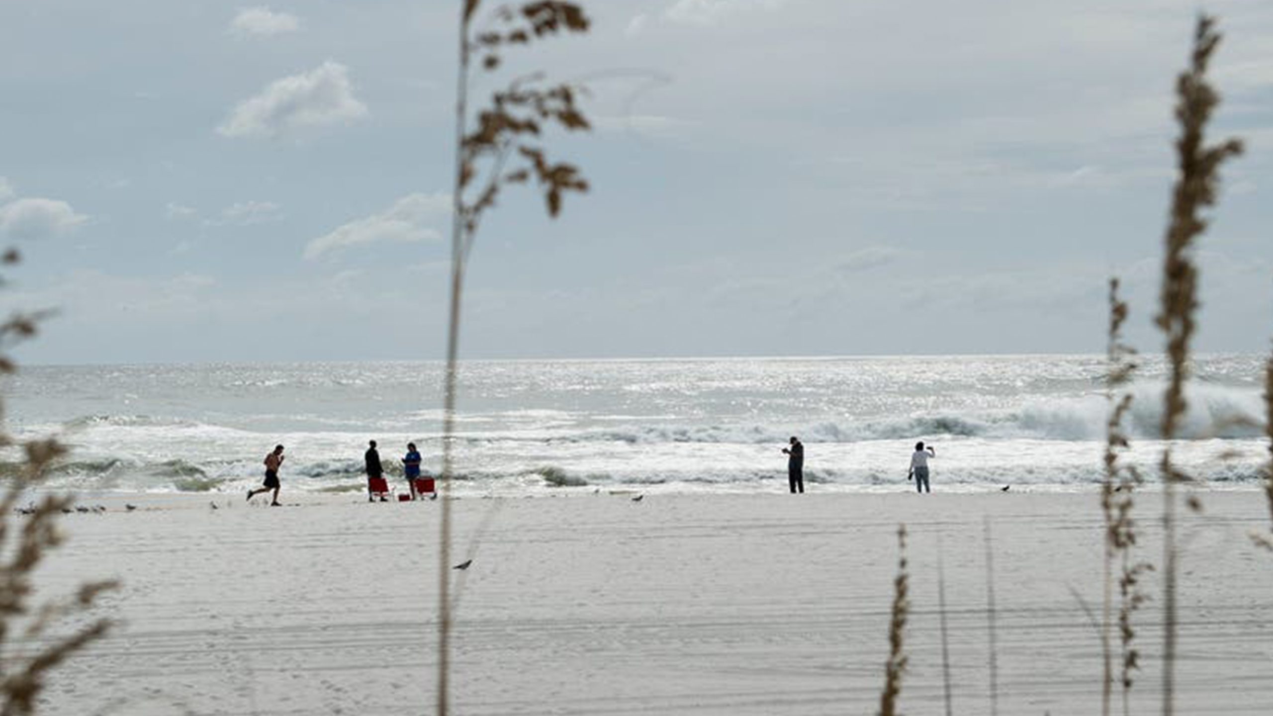 Father of 2 drowns after being caught in current trying to rescue seagull caught in fishing line — Los Gatos Community news
